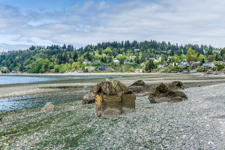 Low tide washington landscape.
