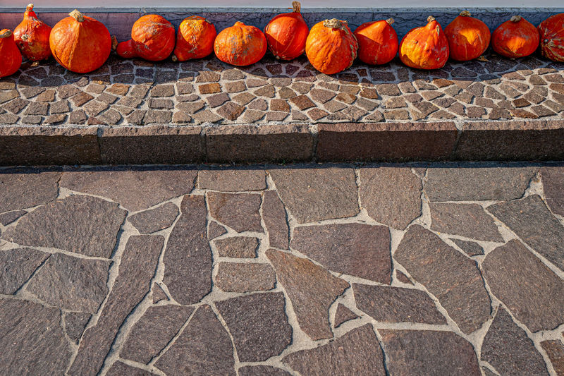 Pumpkins on ground. halloween and autumn harvest. season concept and background.