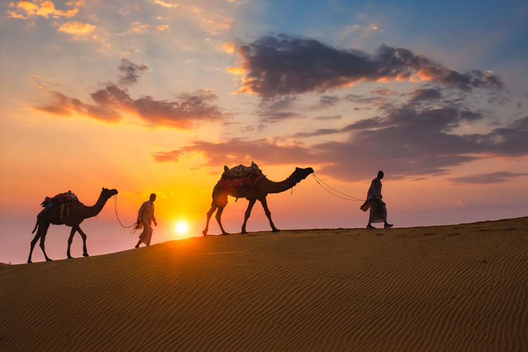 Silhouette people riding horse on sand against sky during sunset