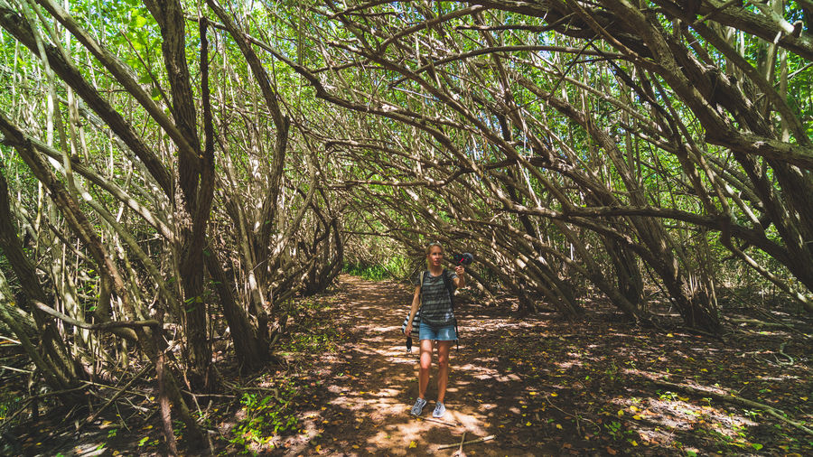 Rear view of woman walking in forest