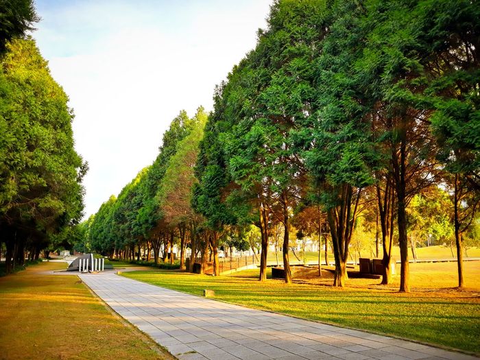 Street amidst trees and plants in park against sky