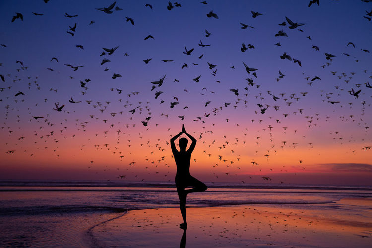 Rear view of silhouette man doing yoga with birds flying over beach during sunset