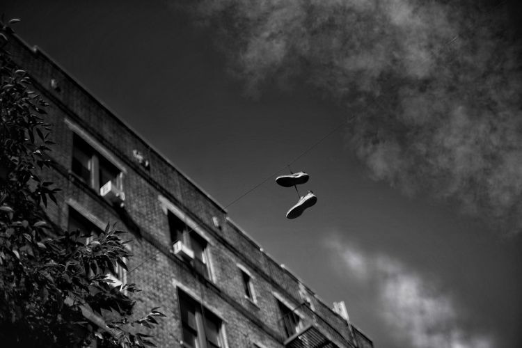 Low angle view of bird flying in building against sky