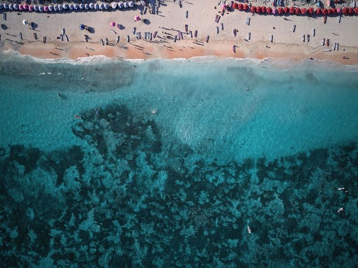 Group of people swimming in sea