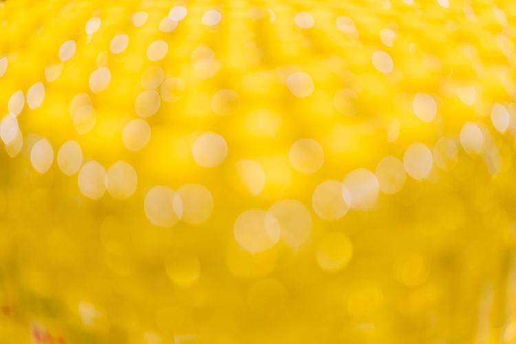 Defocused image of illuminated yellow lights