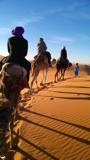 People riding on camels at sahara desert against sky