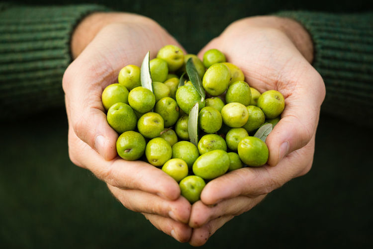 Cropped image of person holding fruits