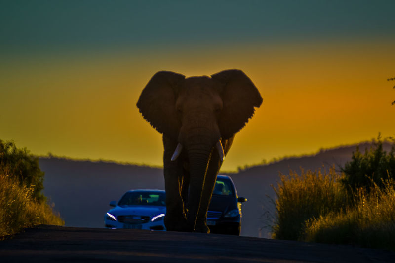 Digital composite image of a car on road against sunset sky