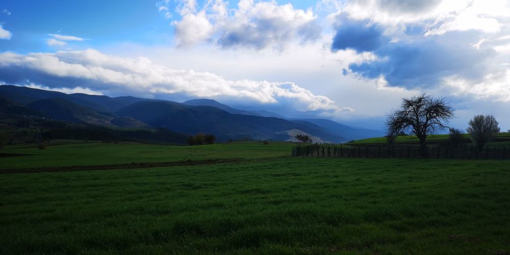 Scenic view of agricultural field against sky