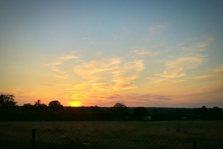 Scenic view of landscape at sunset