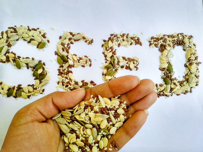 Hand holding mixed seeds