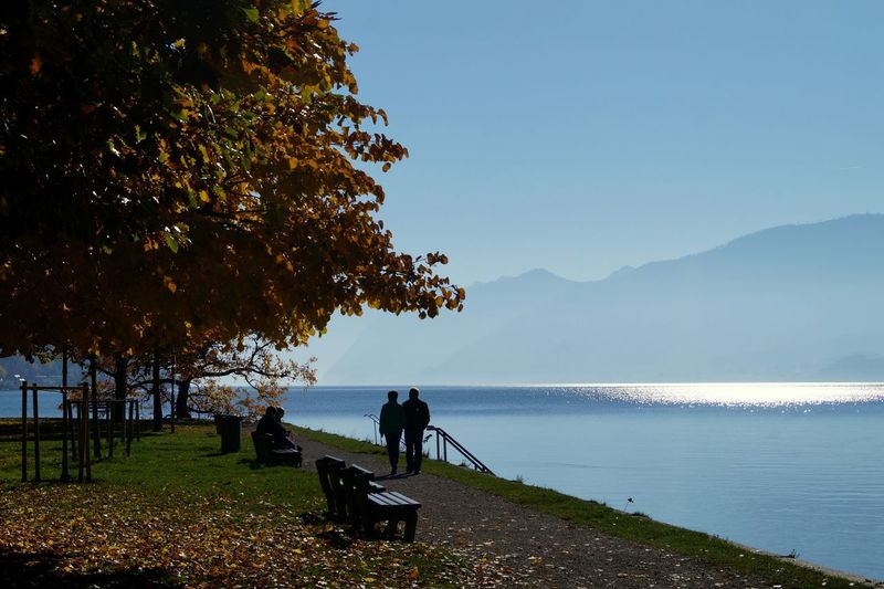 People relaxing by lake against sky during sunny day