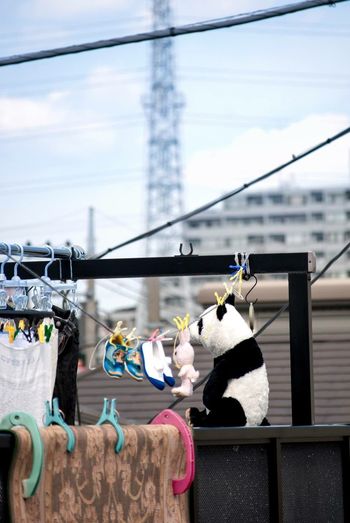 Panda toy on roof with shoes and clothes hanging