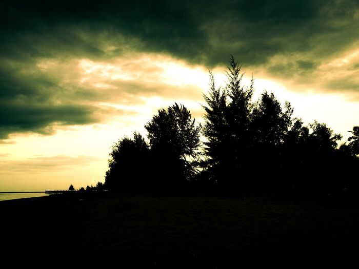 Silhouette trees on field against dramatic sky