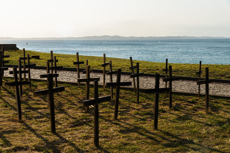 Crosses fixed to the ground in honor of those killed by covid-19. salvador, bahia, brazil.