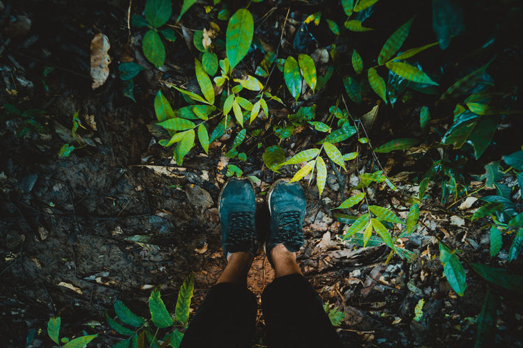 Low section of person standing by plants