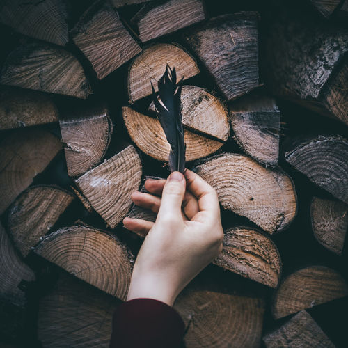 Pile of logs