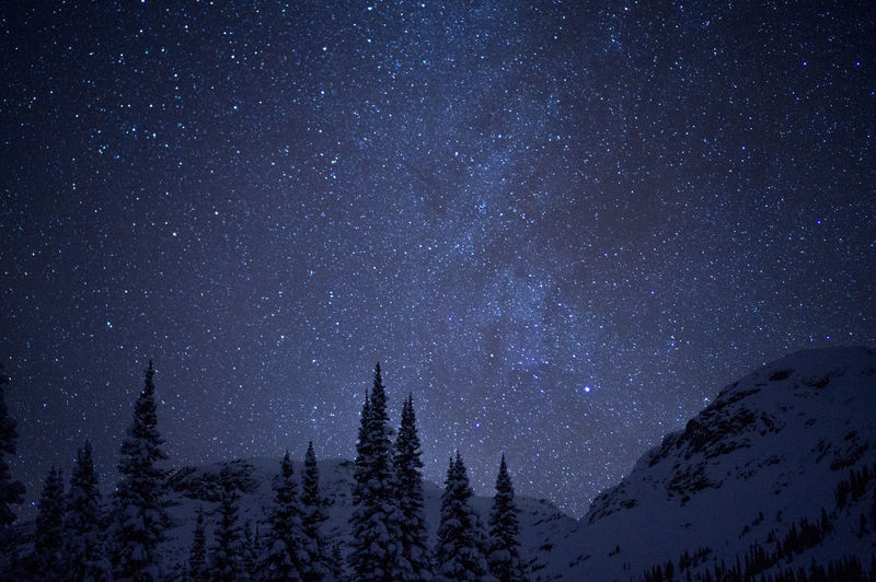 Scenic view of trees on snow covered mountain against starry sky