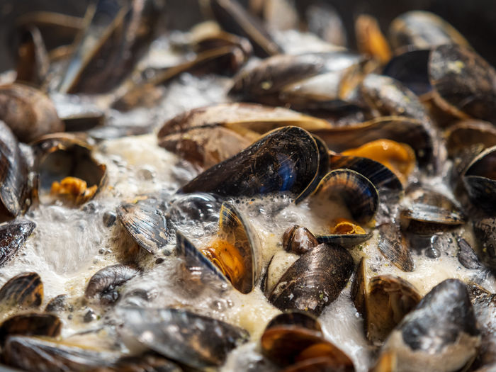 Close-up of mussels cooking in broth