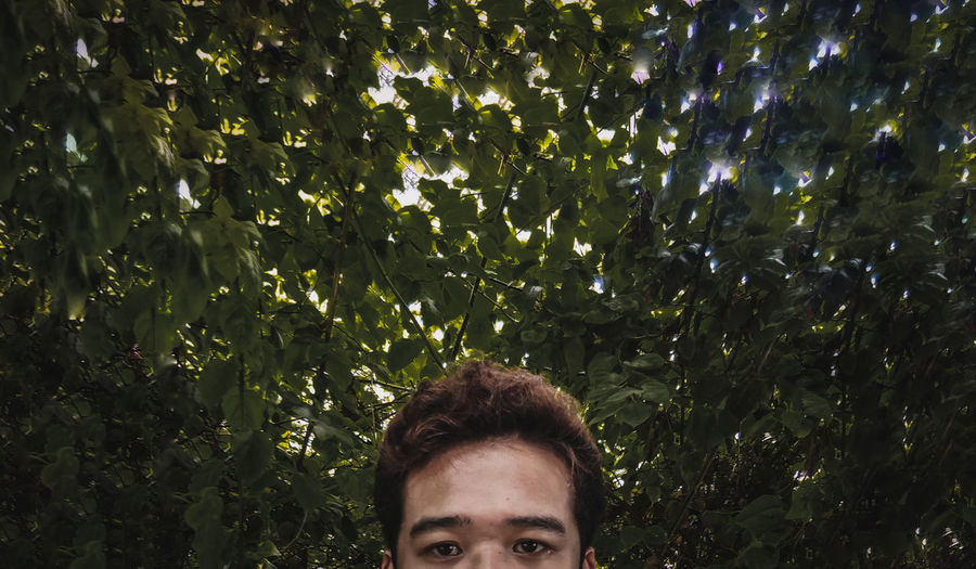 Portrait of young man against plants
