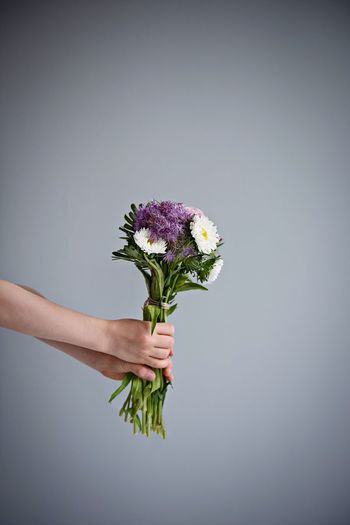 Close-up of hand holding flower against white background