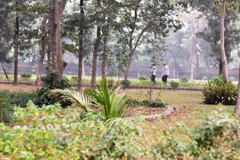 People walking by plants in public park
