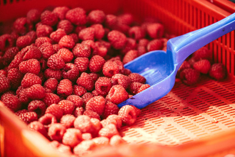 Raspberries at farmers' market