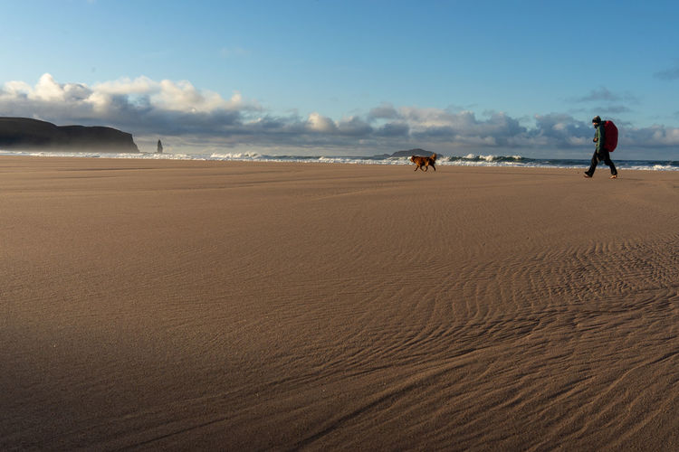 Girl walking barefoot on beach with dog