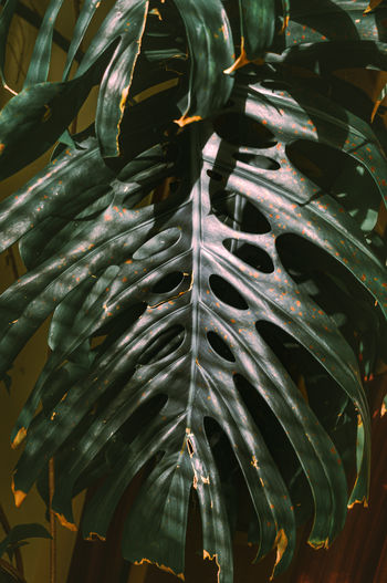 Full frame shot of abstract pattern