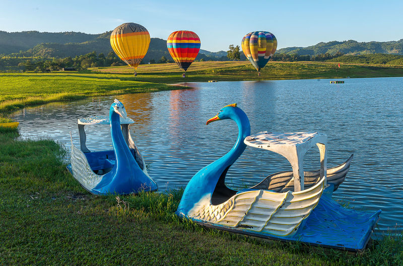 Hot air balloons on field by lake against sky