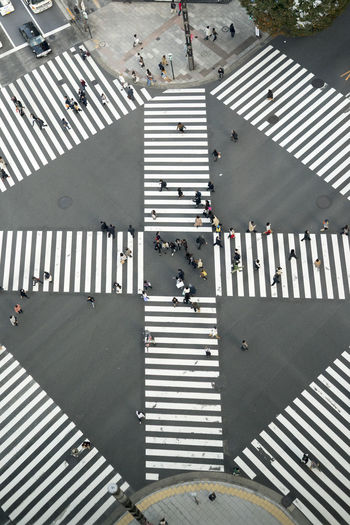 Directly above shot of people crossing street in city