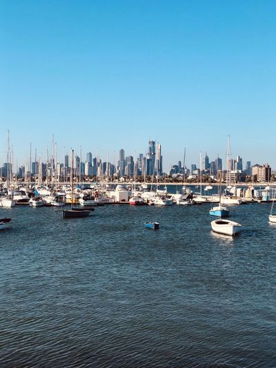 Sailboats in marina by sea against clear sky in melbourne
