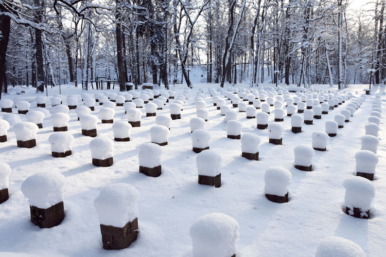 Panoramic view of snow covered field