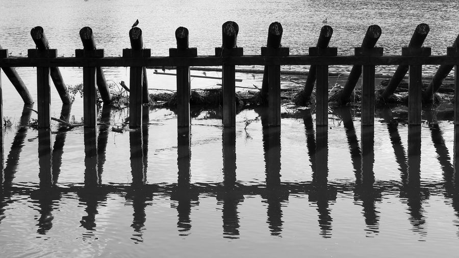 Reflection of fence in water