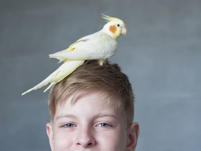 Portrait of happy caucasian teenager with parrot on gray background