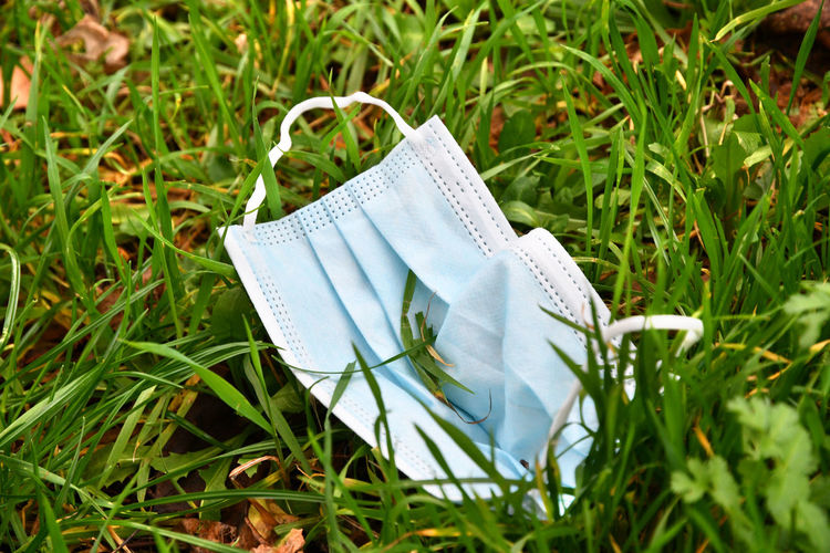 Close-up of paper currencies on grass