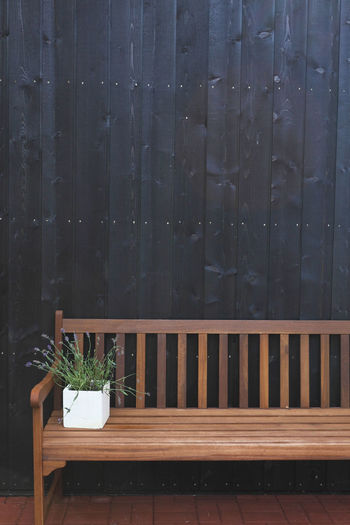 Pot plant on cropped bench against the wall