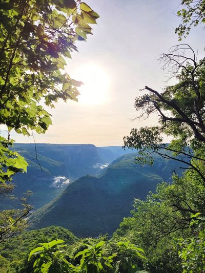 nature