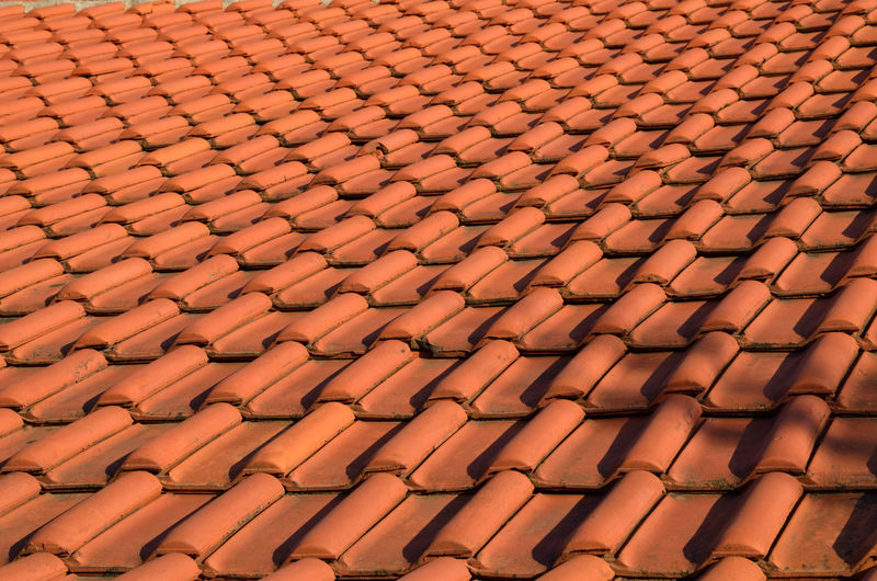 Tiles on the roof, on a sunny day.
