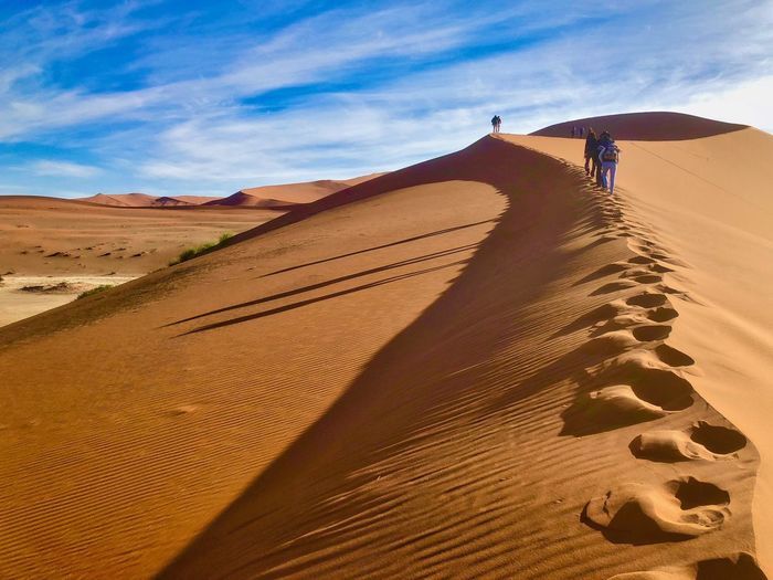 Rear view of friends walking on desert against sky