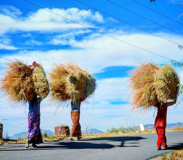 Rear view of women with hay walking on road against sky