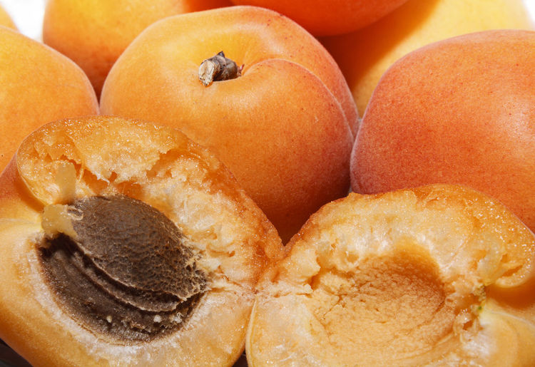 Close-up of apricots