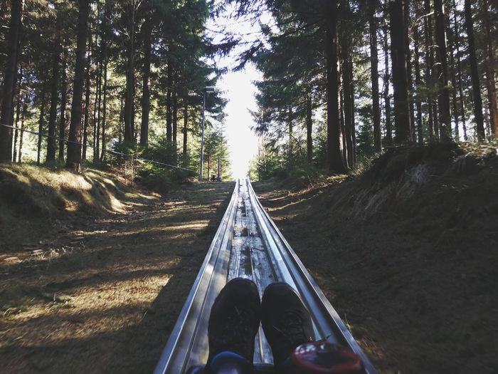 Low section of person on slide in forest