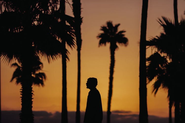 Silhouette man standing against palm trees during sunset