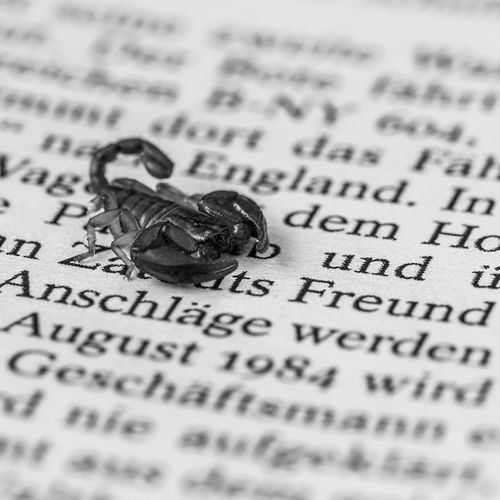 Close-up of text on paper