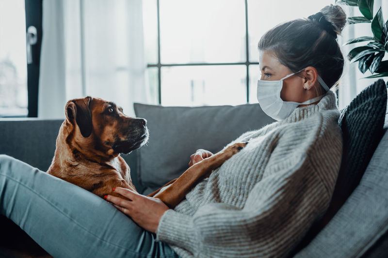 Side view of woman wearing mask playing with dog on sofa at home