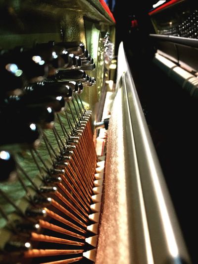 Close-up view of a row