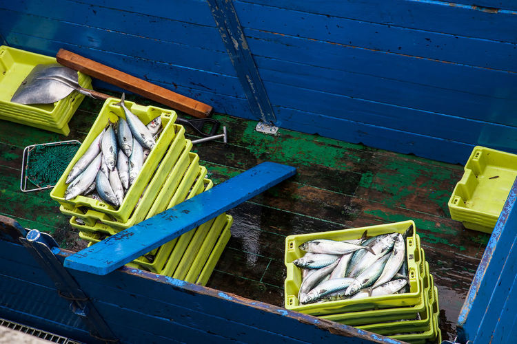 High angle view of fishes in container on deck