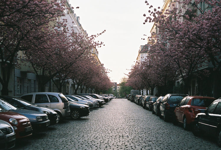 Cars parked on road along buildings