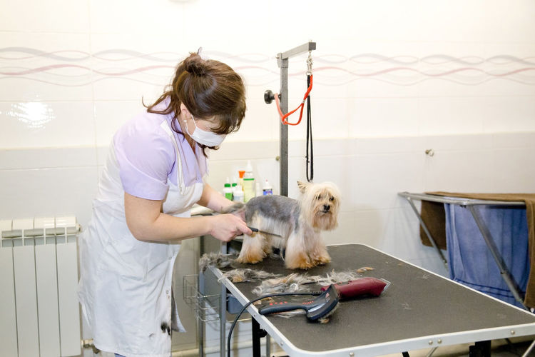 Woman working with dog